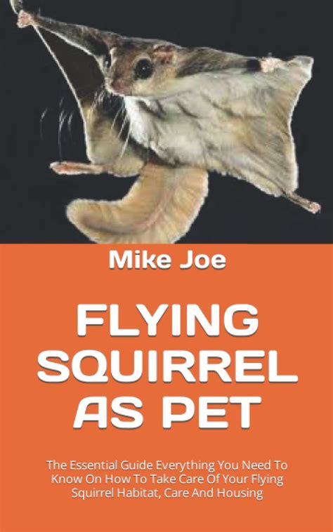 Buy FLYING SQUIRREL AS PET: The Essential Guide Everything You Need To ...