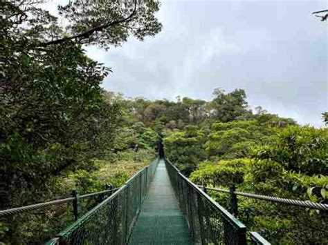 10 Things to know before visiting the Hanging Bridges in Monteverde