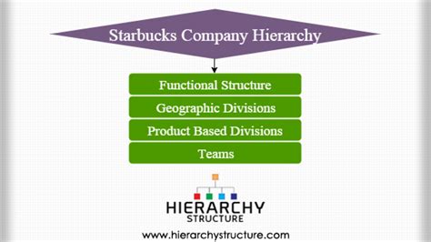 Organizational Structure Of Starbucks Company Background - IMAGESEE