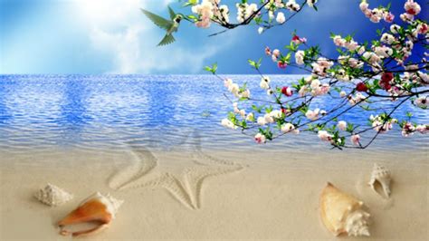 Flowers At The Ocean Wallpapers - Wallpaper Cave