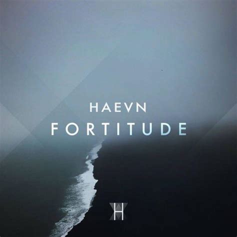 Haevn - Fortitude | Top 40