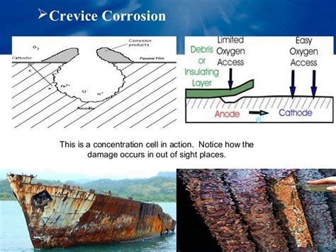 (Pitting corrosion and crevice corrosion)