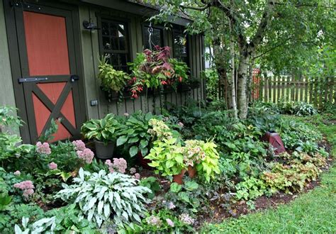 shade perennials zone 7 garden 7a part shrubs 7b | Shade garden design, Shade landscaping ...