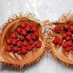 Health Benefits of Annatto Tocotrienols – Superfoods Geek