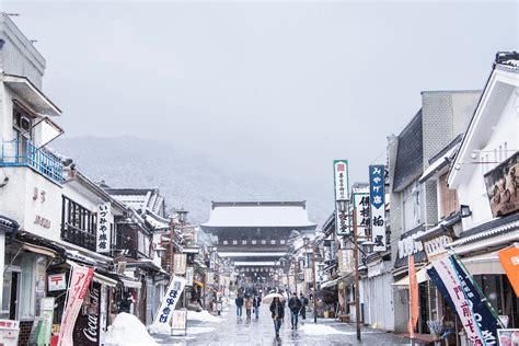 Returning to See the Japan Snow Monkeys (in Winter, This Time)