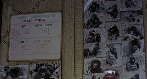 Gorillas in the Mist (1988)