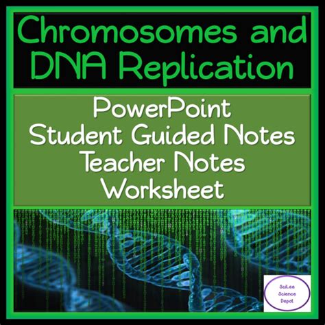 Genetics: Chromosomes & DNA Replication PowerPoint & Worksheet | Made By Teachers