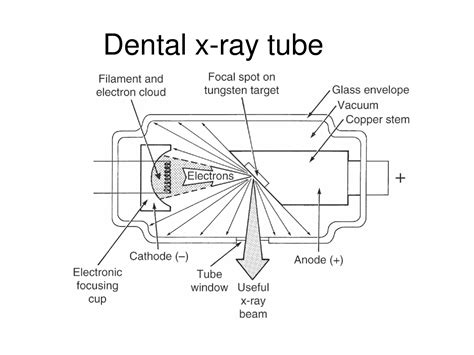 Diagram Of X Ray Tube