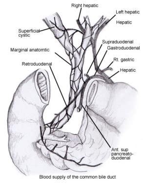 Choledochojejunostomy Technique: Creation of Biliary-Jejunal ...