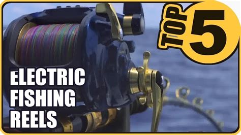 💜Best Electric Fishing Reels Of 2021 - Top 5 Review - YouTube