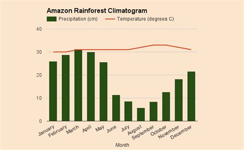 Climate and Weather - Amazon rainforest