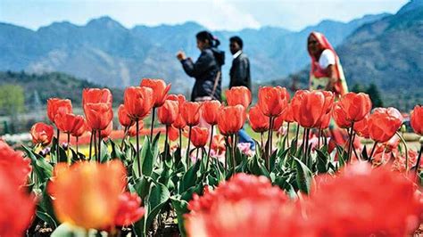 Top 10 Amazing Gardens in Kashmir Valley: Kashmir Mughal Gardens