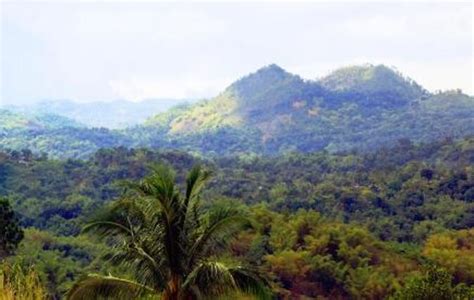 Blue Mountains, Jamaica | Tickets & Tours - 2024