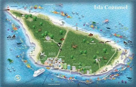 Cozumel tourist map | Cozumel, Tourist, Tourist map