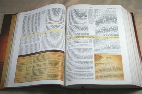 Best Study Bibles for Preachers and Pastors