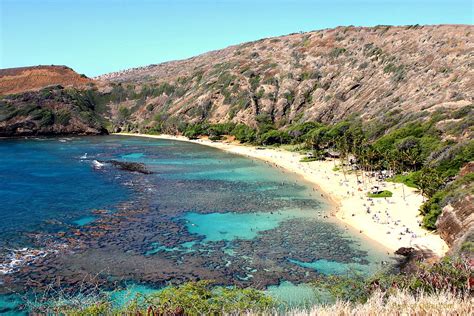 Hanauma Bay Snorkeling