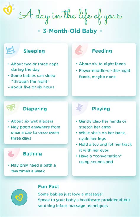 3-Month-Old Baby: Milestones, Weight and Sleep Schedule | Pampers