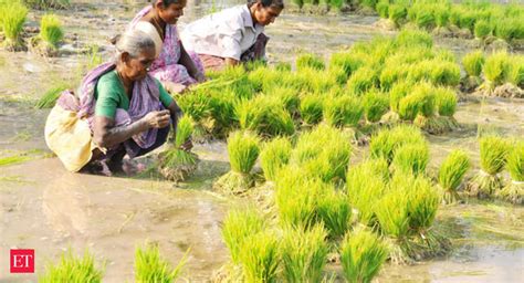 Tamil Nadu farmers to go abroad to learn horticulture crop technology ...