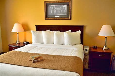 Quality Inn & Suites Rooms: Pictures & Reviews - Tripadvisor