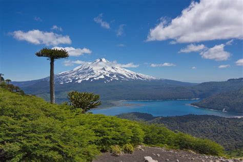 Nature - Chile Travel