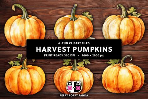 Harvest Pumpkins Clipart Illustrations Graphic by Peppy Poppy Panda ...