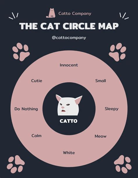 Black And Pink Cute Playful Illustration Cat Circle Map Diagram - Venngage