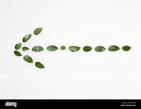 Arrow of leaves Stock Photo - Alamy