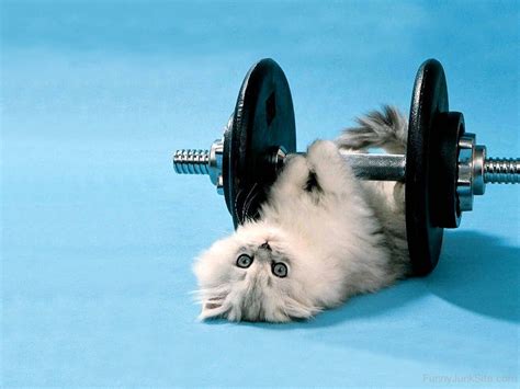 Funny Exercise Pictures