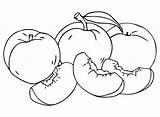 Nectarine Coloring Pages Printable For Free Download sketch template