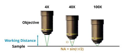 Microscope Calculations: Field of View, Depth of Field, Numerical ...