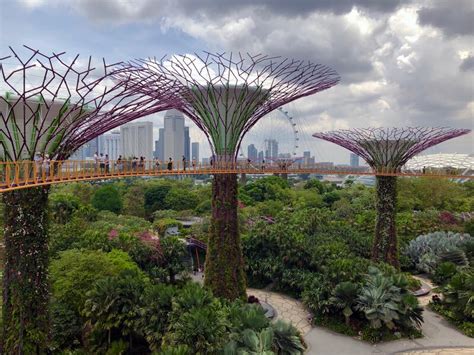 Singapore Plans to Plant A Million Trees by 2030 | Earth.Org