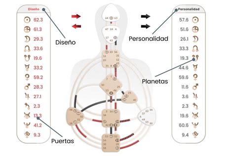 Diseño Humano, Cuerpo gráfico - Mi Carta Diseño Humano