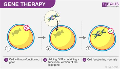 Gene Therapy - Discover How It Works Its Types And Applications