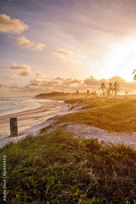 sunset on the beach, sunset, beach, Brazil, fim de tarde, praia, coqueiros, coconut tree, late ...