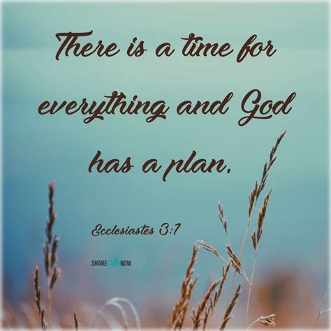 Bible Verse Of The Day:there is a time for everything and god has a plan | Bible verses ...