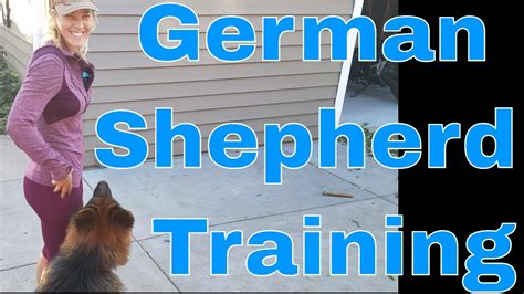 German shepherd Training - YouTube