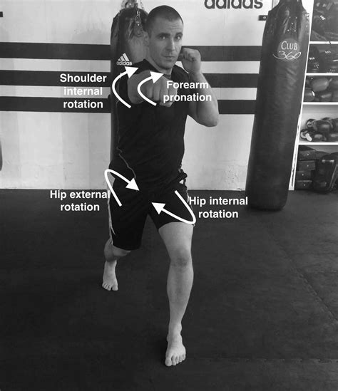 The Biomechanics of a Knockout Punch - The Science Of Striking