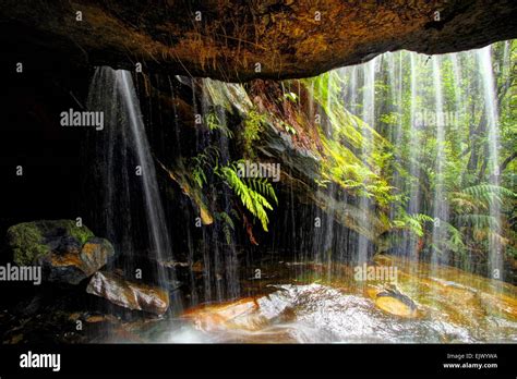 One of myriad waterfalls in Horseshoe Falls Reserve - Hazelbrook, the Blue Mountains, NSW Stock ...