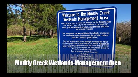 Exploring the Muddy Creek Wetlands Management Area - YouTube