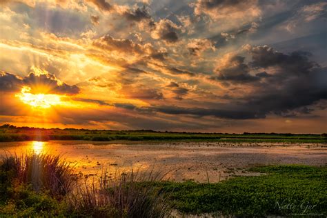 Texas marshland dusty sunset was taken at Brazos State State park [OC] [7360 × 4912] : r/EarthPorn