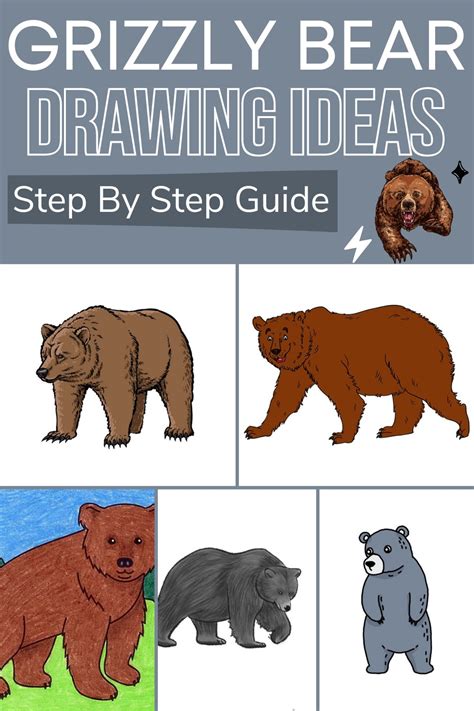 Grizzly Bear Drawing Step By Step