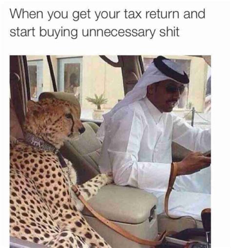 Collection of Tax Return and Tax Season Memes 2023