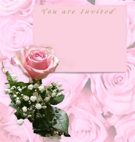 Pink Rose Invitation Free Stock Photo - Public Domain Pictures
