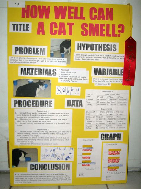 Laurel's science fair display board. | I cut out the title l… | Flickr