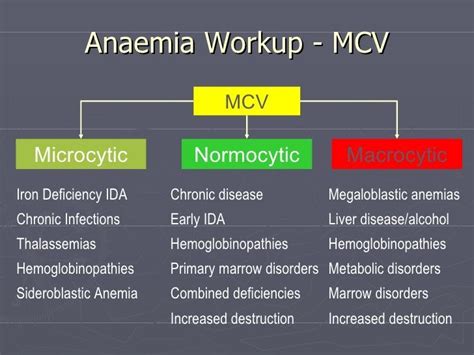 19 Images Anemia Lab Values Chart