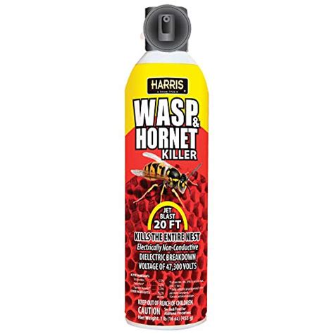 Find The Best Wasp Killer Spray 2023 Reviews