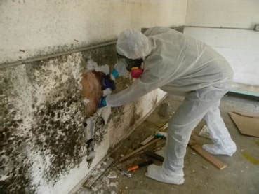 Mold Remediation - SANTA CLARITA WATER DAMAGE COMPANY