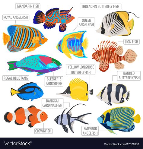 Freshwater aquarium fish breeds icon set flat Vector Image