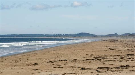 Newburyport Beach Added To List Of Mass. Beaches With High Bacteria Levels | Talk 1200