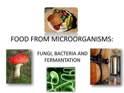 PPT - FOOD FROM MICROORGANISMS: PowerPoint Presentation, free download ...